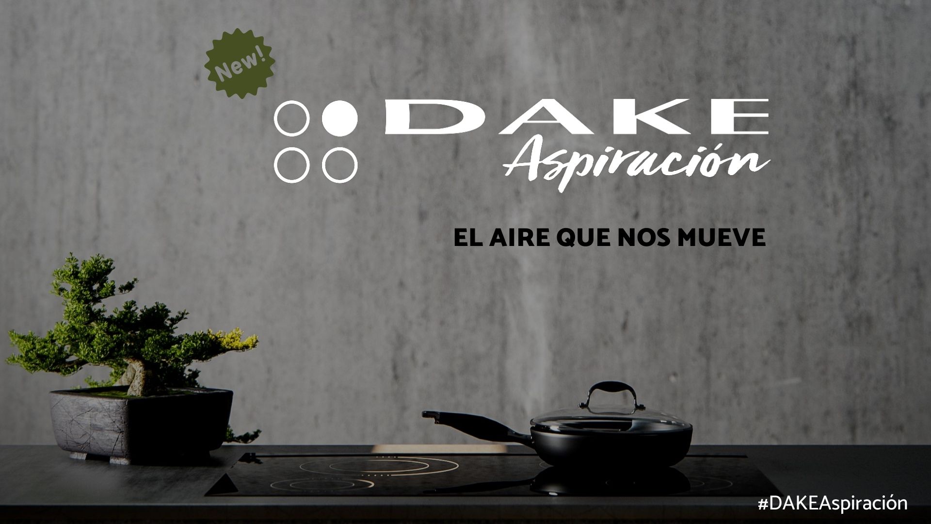 Nuevo catálogo DAKE Aspiración